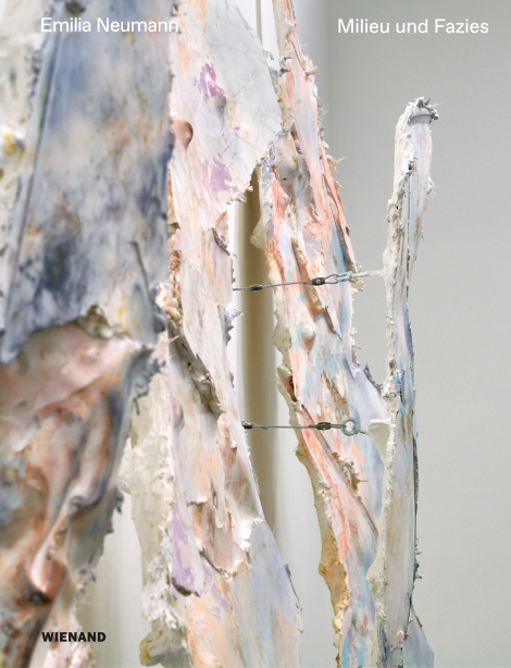 : Emilia Neumann.Milieu und Fazies. Milieu and Facies 