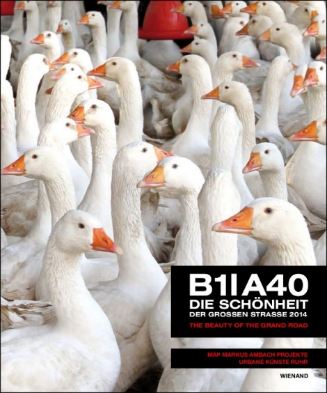 : B1 A40 Die Schönheit der großen Straße 2014 