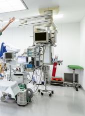 Passierschein in die Zukunft. Joseph Beuys, Katinka Bock, Christian Jankowski, Jon Rafman 